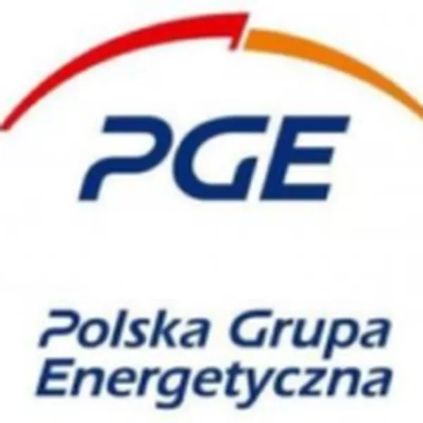 polska grupa energetyczna